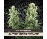 Autoflowering Mix (10 zaden)