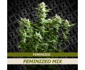 Feminized Mix (10 zaden)