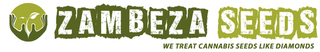 Zambeza Seeds
