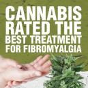 Cannabis beoordeeld als beste behandeling voor Fibromyalgie