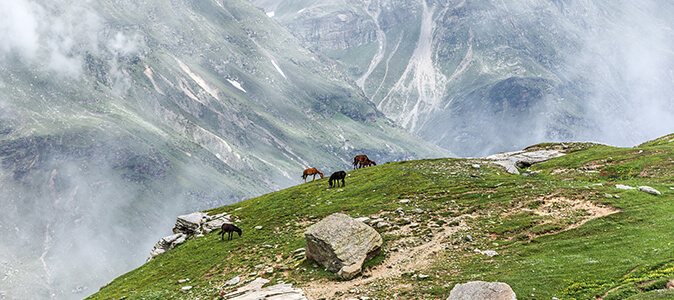 De Manali Vallei, India