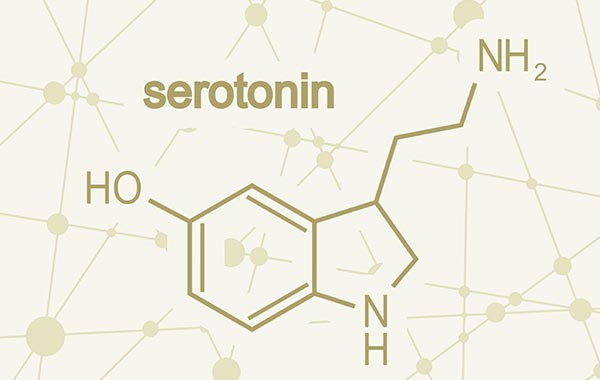 Serotonin