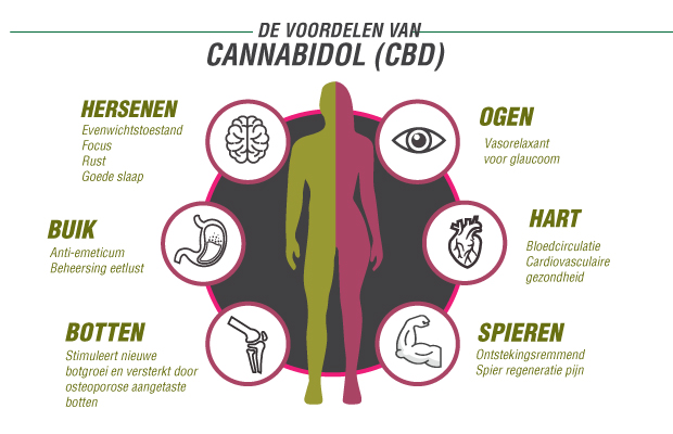 De Voordelen van CBD