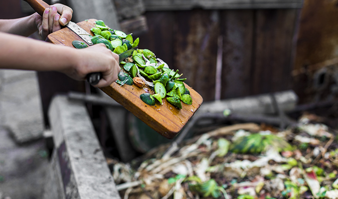 Cannabis En Compost: De Productie, Opslag En Het Gebruik