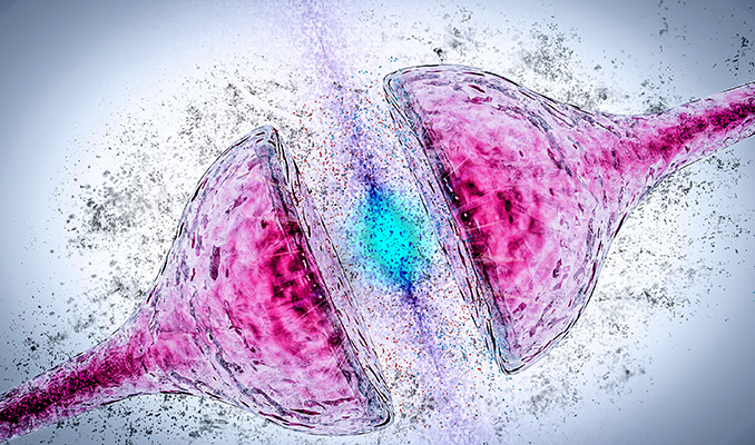 De Cognitieve Link Tussen THC En Dopamine